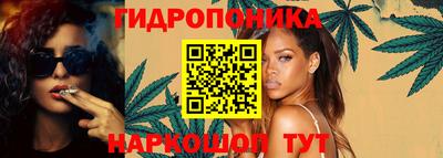 крисы Севастополь