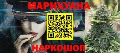 крисы Севастополь