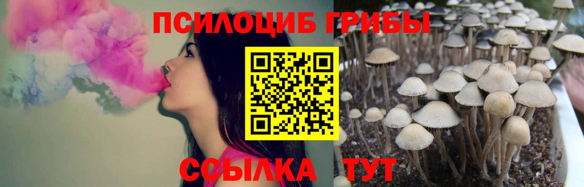 Галлюциногенные грибы Cubensis Отрадный