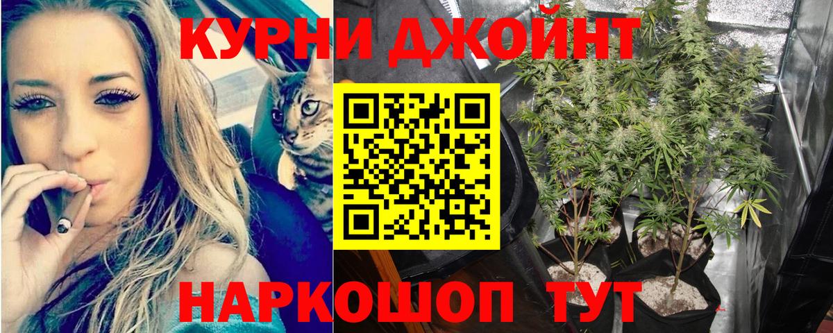Канабис Bruce Banner  МАРИХУАНА семена  Отрадный  Вход с VPN 